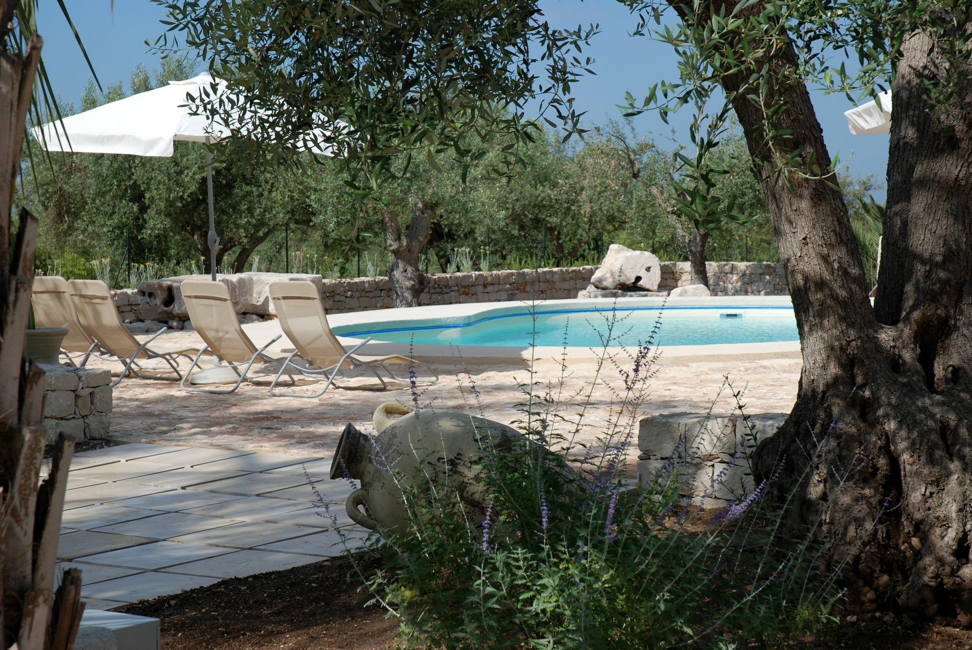 Cambiocavallo Resort 莫迪卡 外观 照片